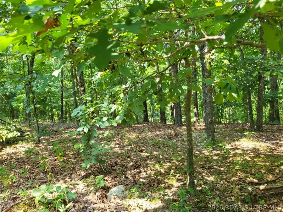 Lee Drive #2020, Edwards, MO 65326 - #2