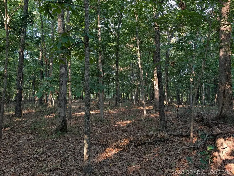 1572 Via Dirupo Drive, Jasper, MO 65079 - #3