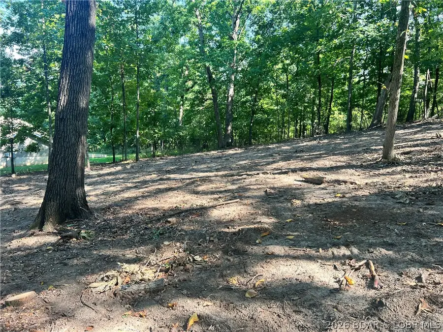 Lot 31 Willow Ridge Road, Lake Ozark, MO 65049 - #3
