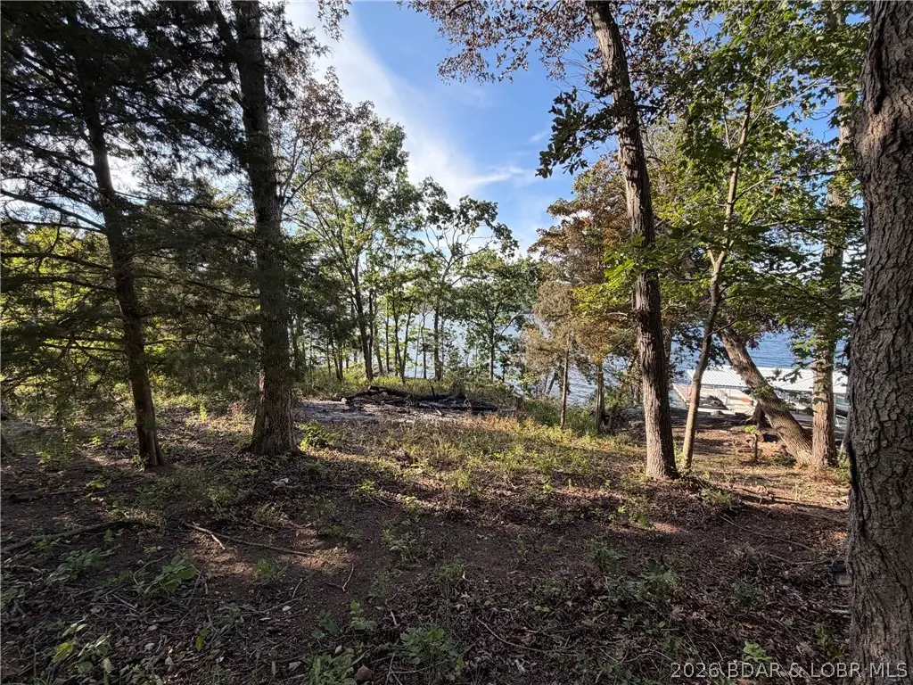 28924 W Gibson Point Road, Gravois Mills, MO 65037 - #1