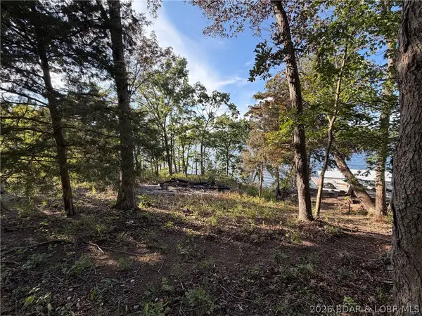 28924 W Gibson Point Road, Gravois Mills, MO 65037