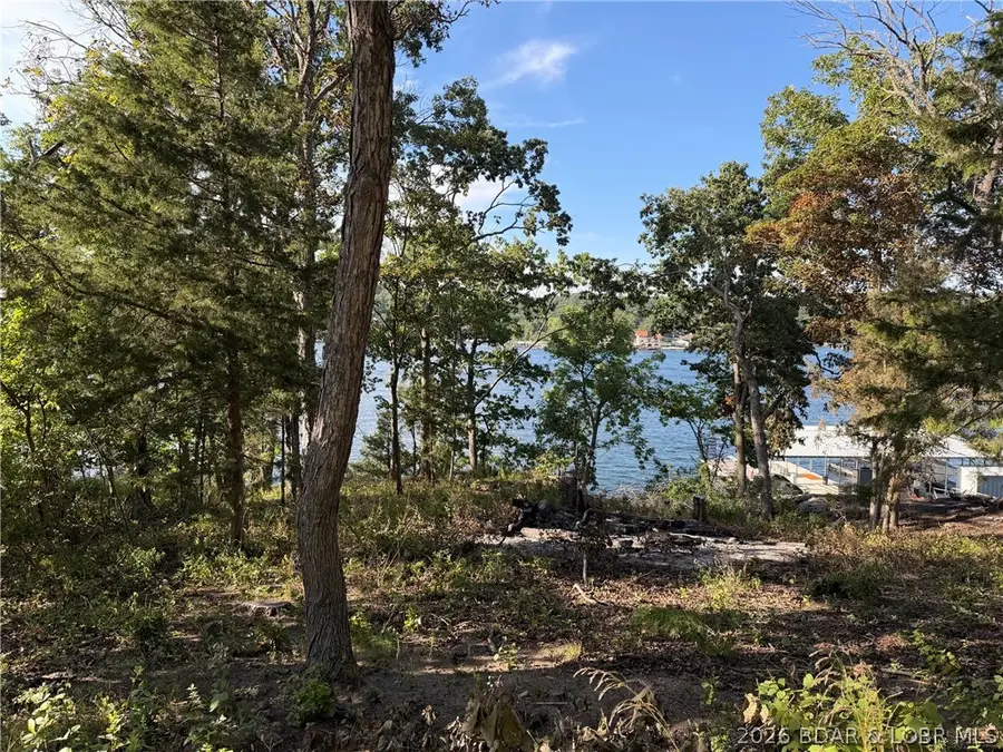 28924 W Gibson Point Road, Gravois Mills, MO 65037 - #2