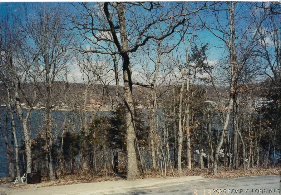 28924 W Gibson Point Road, Gravois Mills, MO 65037 - #3