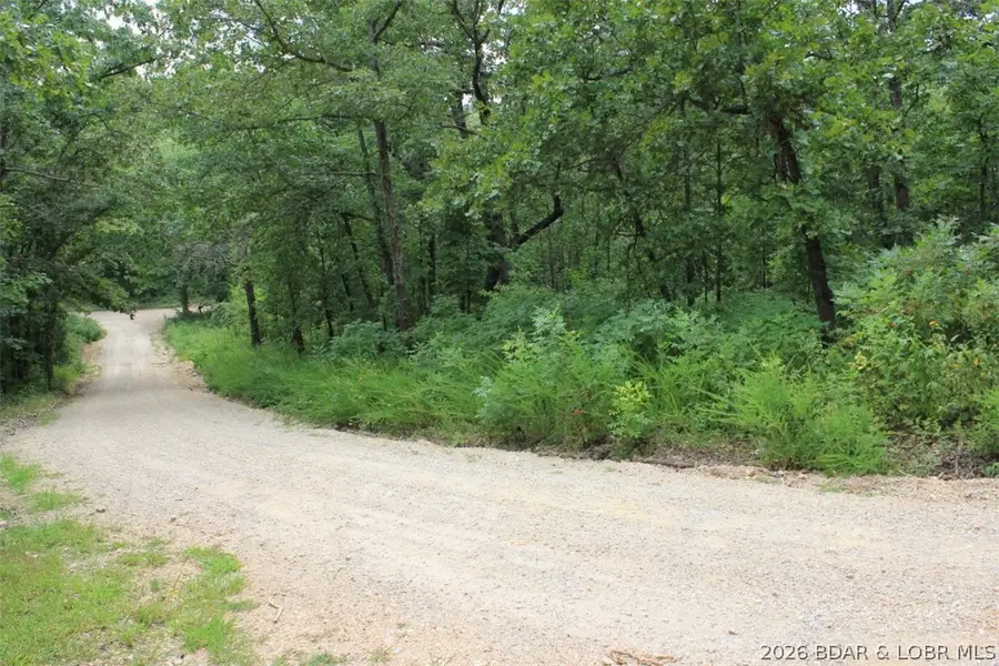346 Blackberry Road, Macks Creek, MO 65786 - #2