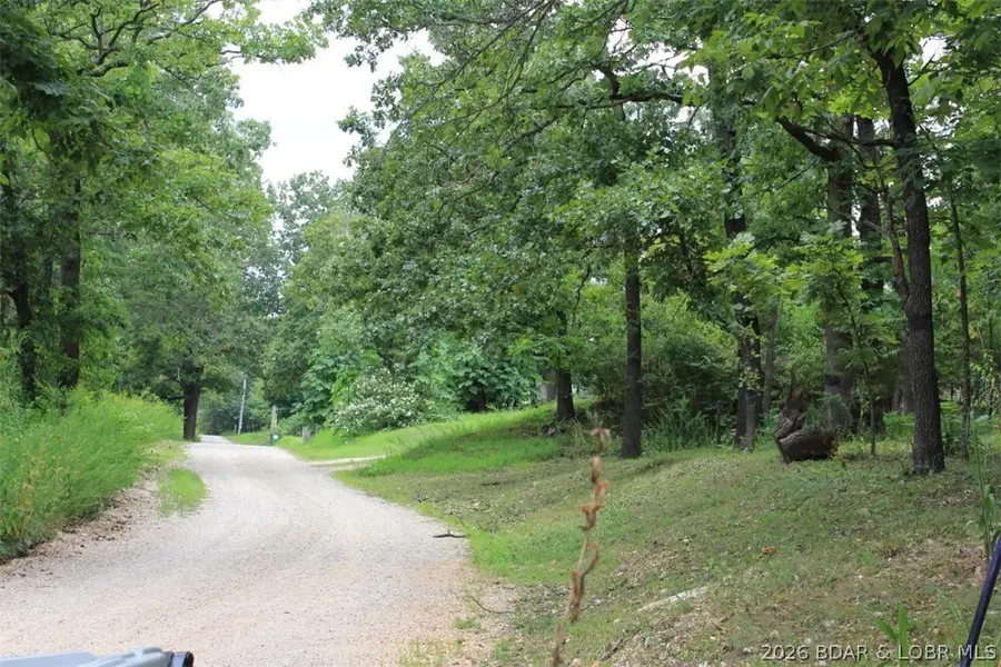 346 Blackberry Road, Macks Creek, MO 65786 - #3