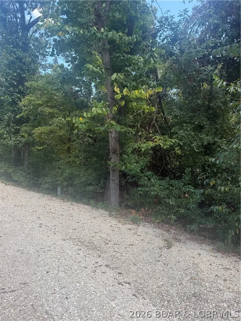 Lot 960 Nassau Circle, Village Of Four Seasons, MO 65049 - #3