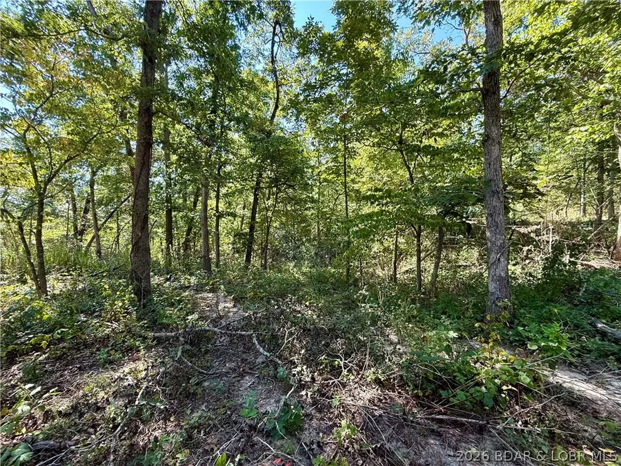 4.6 Acres Possum Trot Rd, Stover, MO 65078 - #2