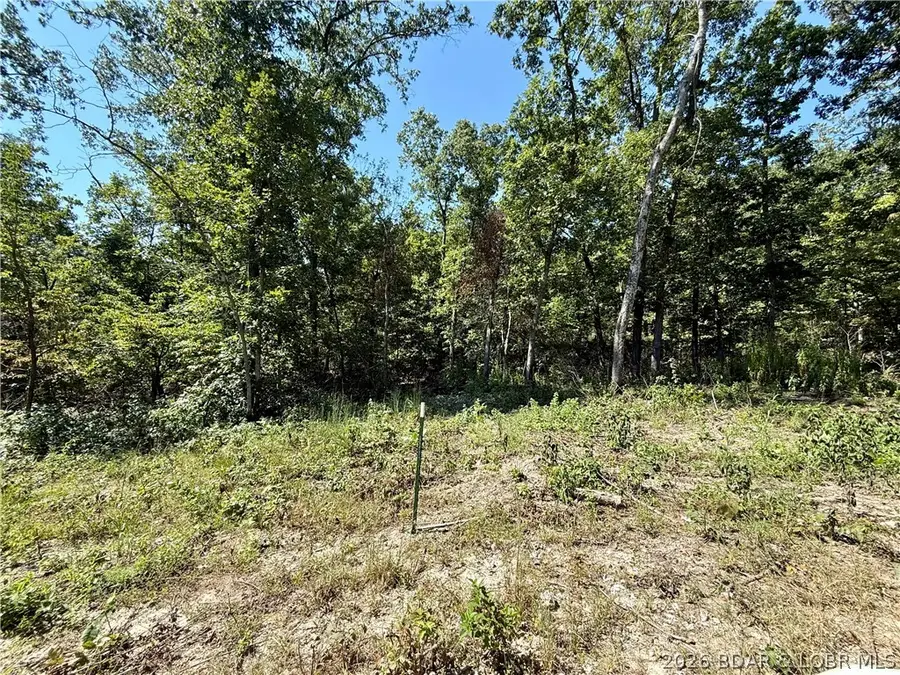 4.6 Acres Possum Trot Rd, Stover, MO 65078 - #3