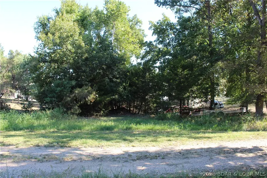 Lot C5 Country Life Road, Gravois Mills, MO 65037 - #3