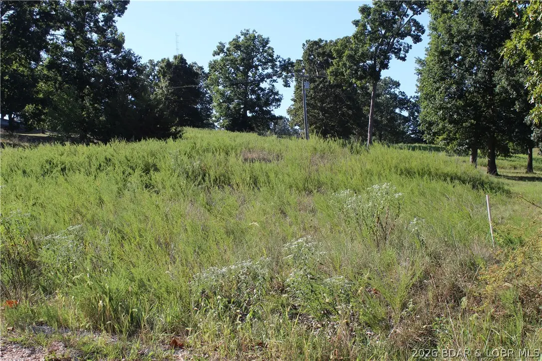 Lot 12 Fox Run Road, Gravois Mills, MO 65037 - #1