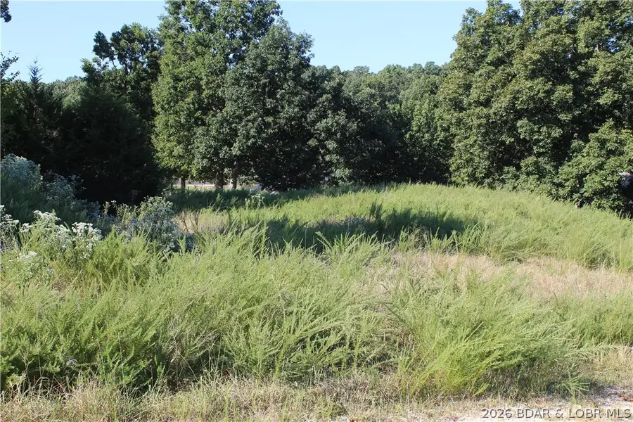 Lot 12 Fox Run Road, Gravois Mills, MO 65037 - #2