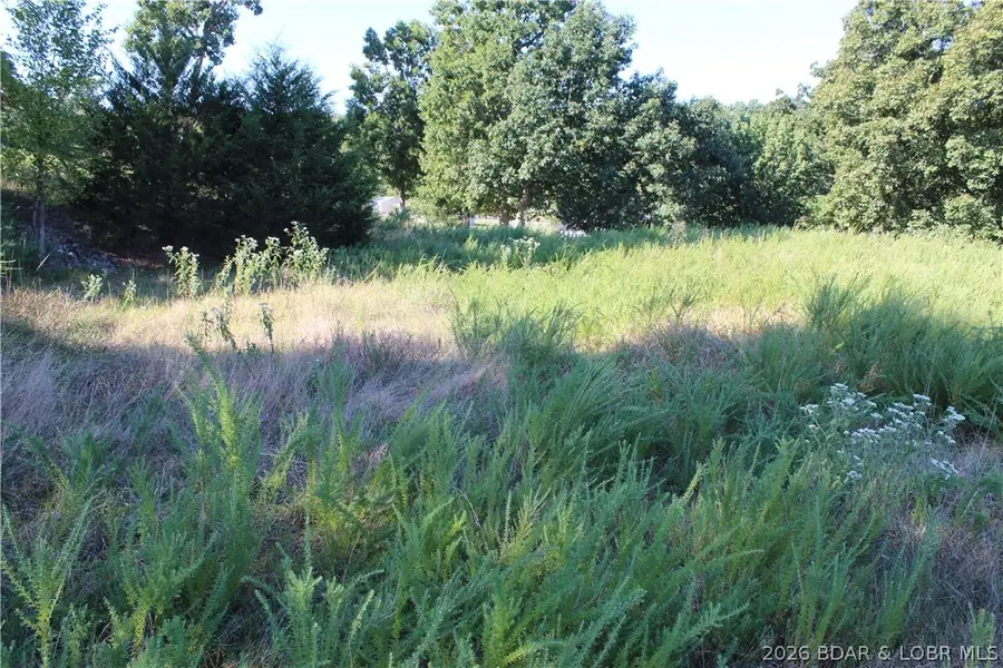 Lot 12 Fox Run Road, Gravois Mills, MO 65037 - #3