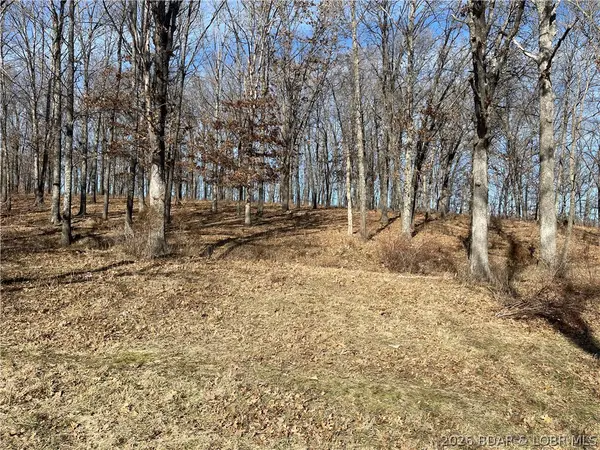 TBD Three Creek Road, Preston, MO 65732