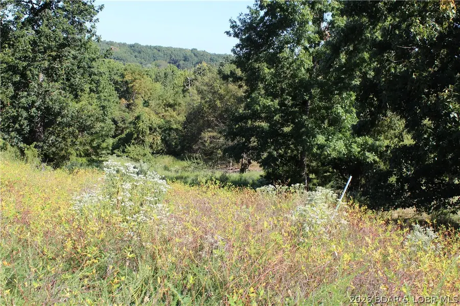 Lot B Country Life Road, Gravois Mills, MO 65037 - #2