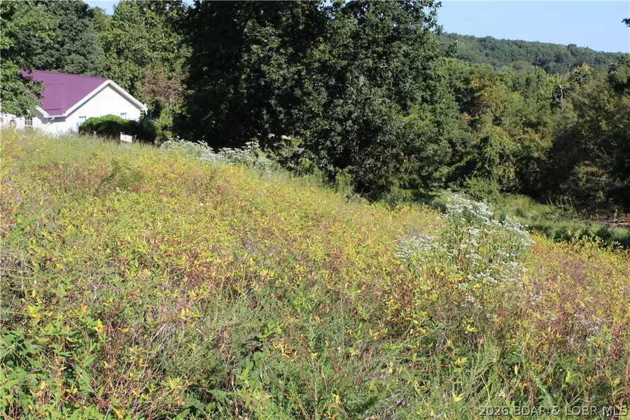 Lot B Country Life Road, Gravois Mills, MO 65037 - #3