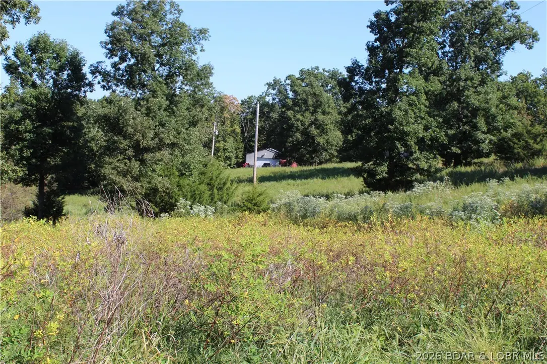 Lot C Country Life Road, Gravois Mills, MO 65037 - #1