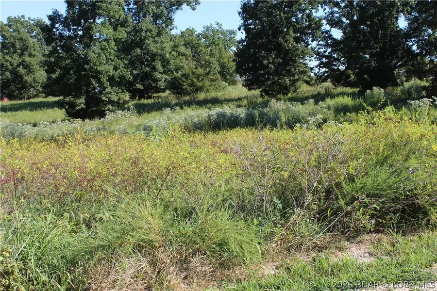 Lot C Country Life Road, Gravois Mills, MO 65037 - #2