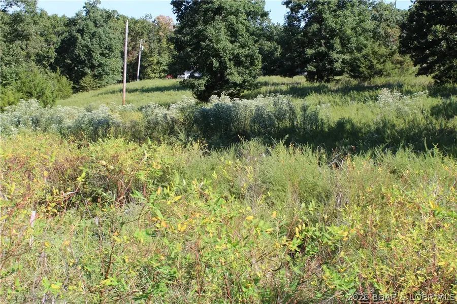 Lot C Country Life Road, Gravois Mills, MO 65037 - #3