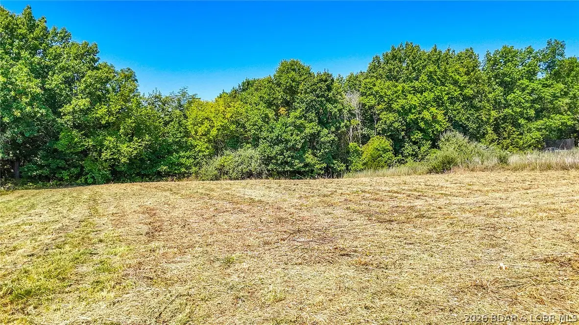 Lot #40 Big Sky Drive, Summit, MO 65043 - #1