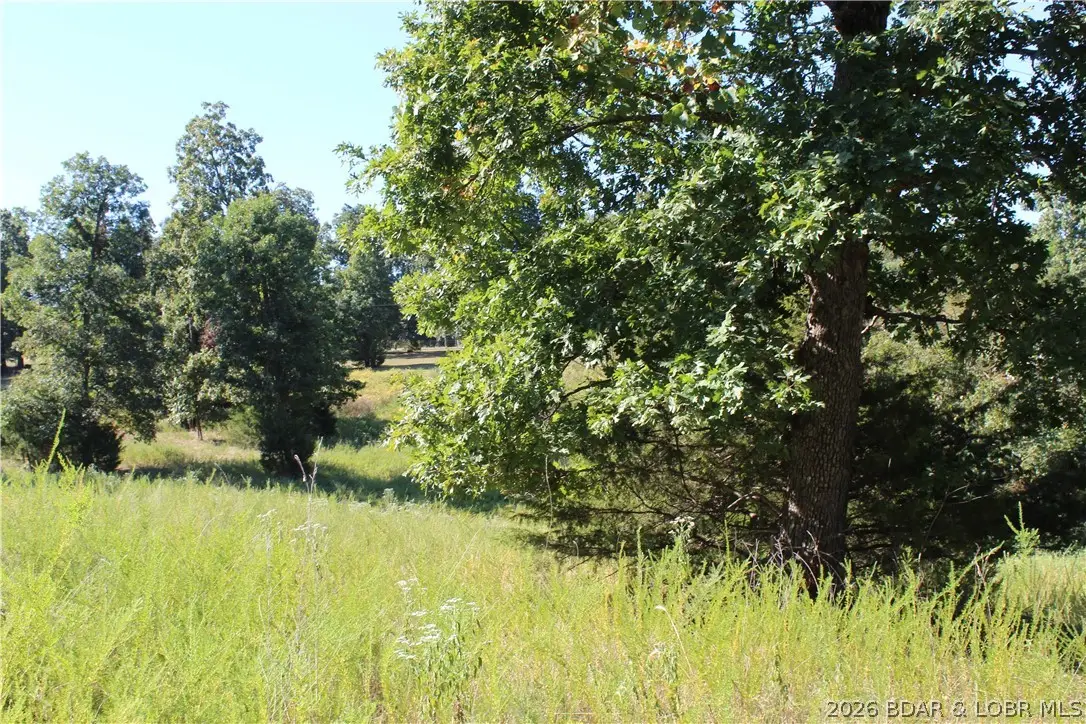 Lot CL21 Magnolia Road, Gravois Mills, MO 65037 - #1