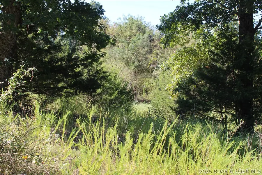 Lot CL21 Magnolia Road, Gravois Mills, MO 65037 - #2