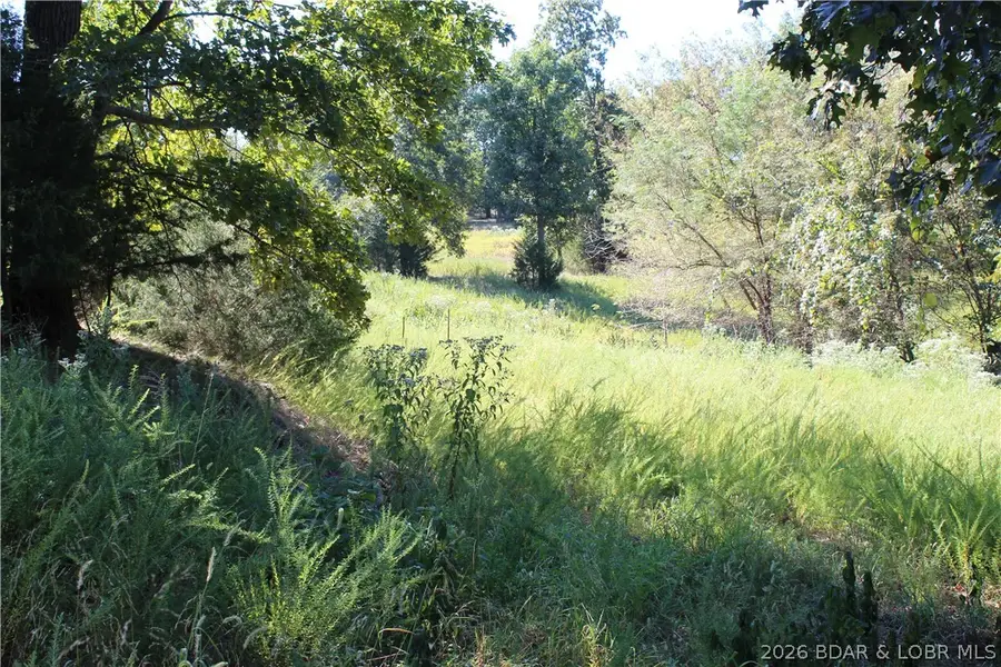 Lot CL21 Magnolia Road, Gravois Mills, MO 65037 - #3