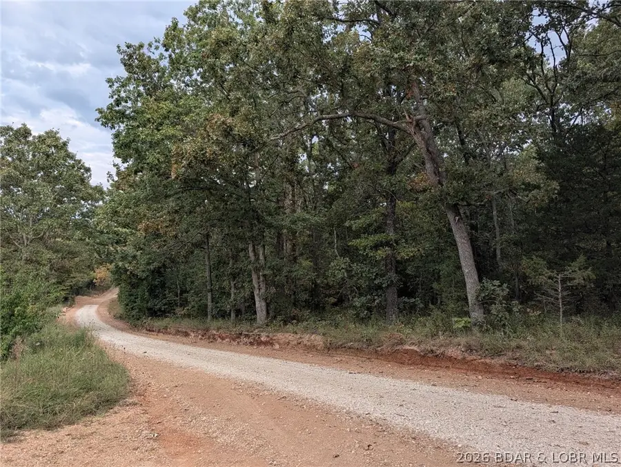 20+- Acres Mccasland Rd, Buffalo, MO 65084 - #2