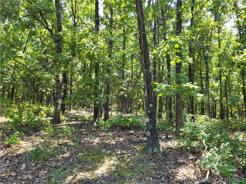 Trinchera Road #3944 & 3945, Edwards, MO 65326 - #1