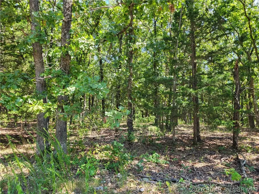 Trinchera Road #3944 & 3945, Edwards, MO 65326 - #2