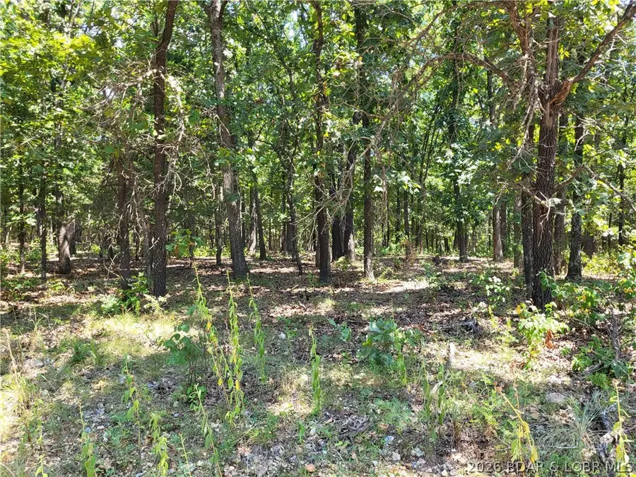 Trinchera Road #3944 & 3945, Edwards, MO 65326 - #3