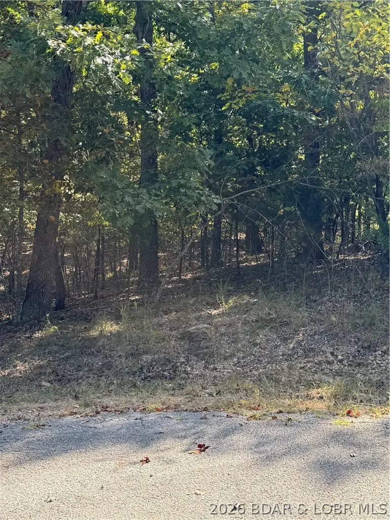 Lot 1093 Salem Drive, Village Of Four Seasons, MO 65049 - #2