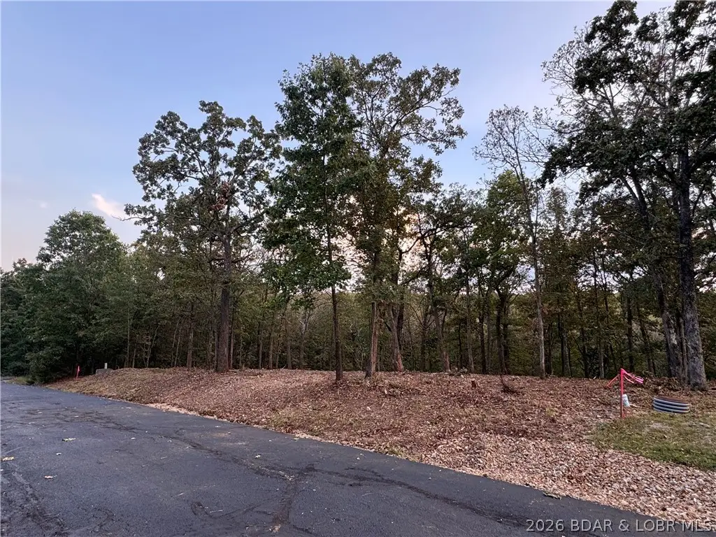 Lot 1303 Winstrome Ct, Jasper, MO 65079 - #1