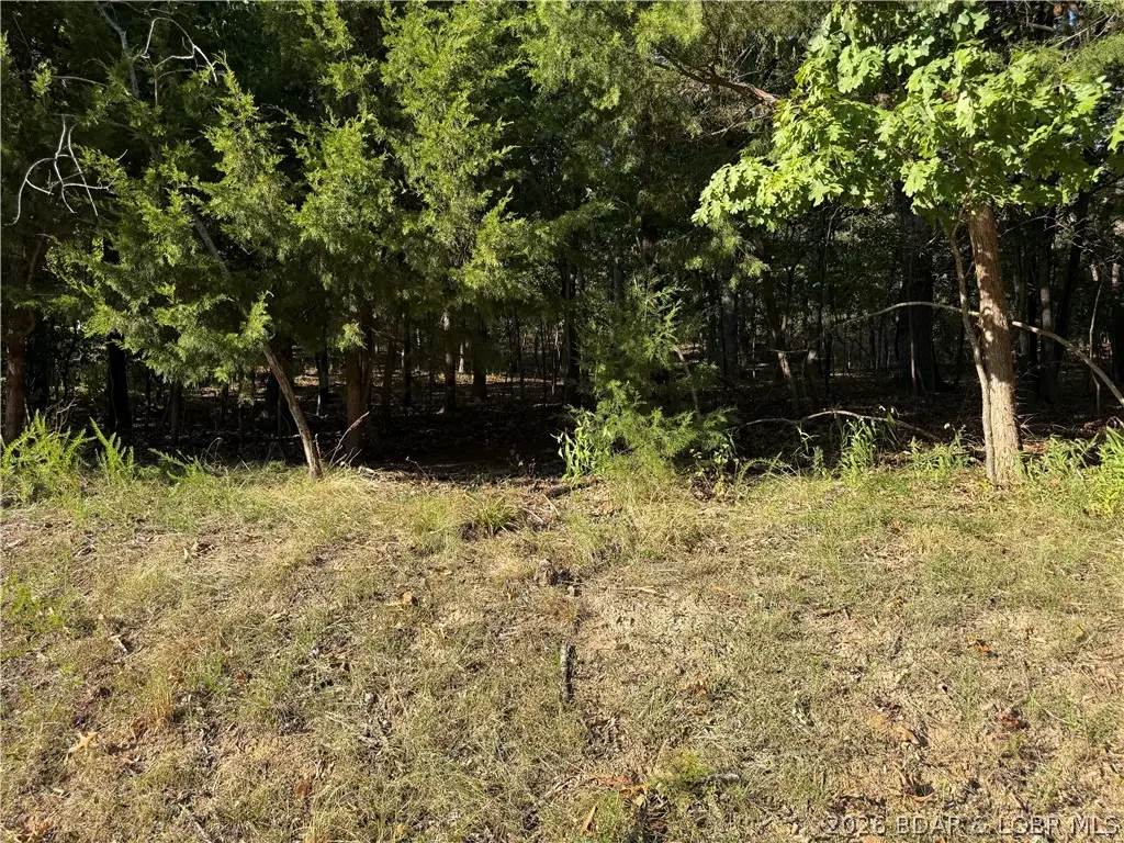 1155 Salem Drive, Village Of Four Seasons, MO 65049 - #1