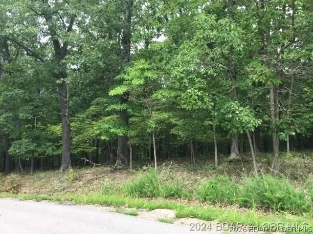 448 Pier Thirty-one Road, Camdenton, MO 65020 - #2
