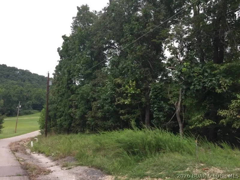 933 Round Table Drive, Camdenton, MO 65020 - #2