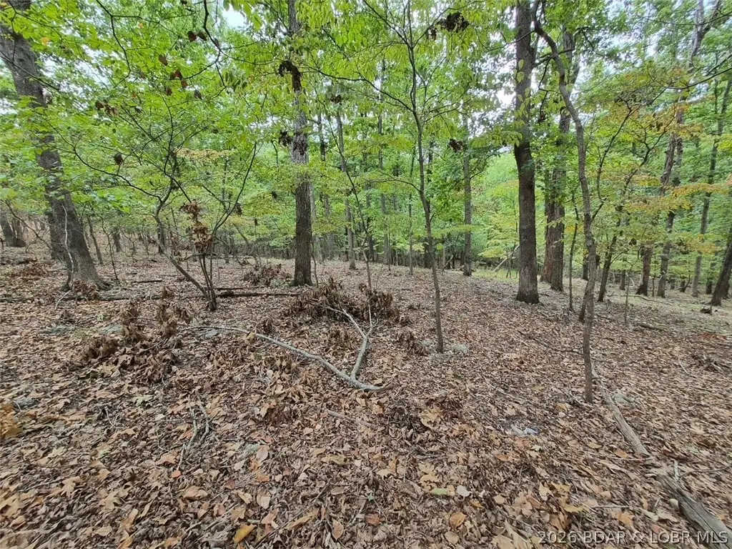 Lot 496 Akron Court, Lake Ozark, MO 65049 - #1