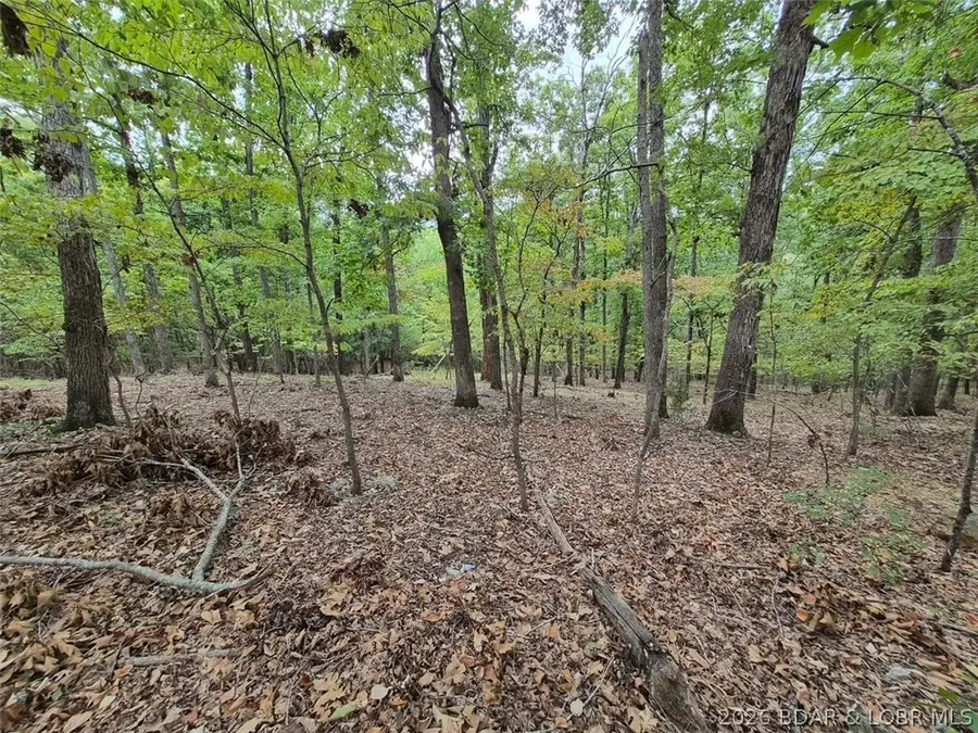 Lot 496 Akron Court, Lake Ozark, MO 65049 - #3