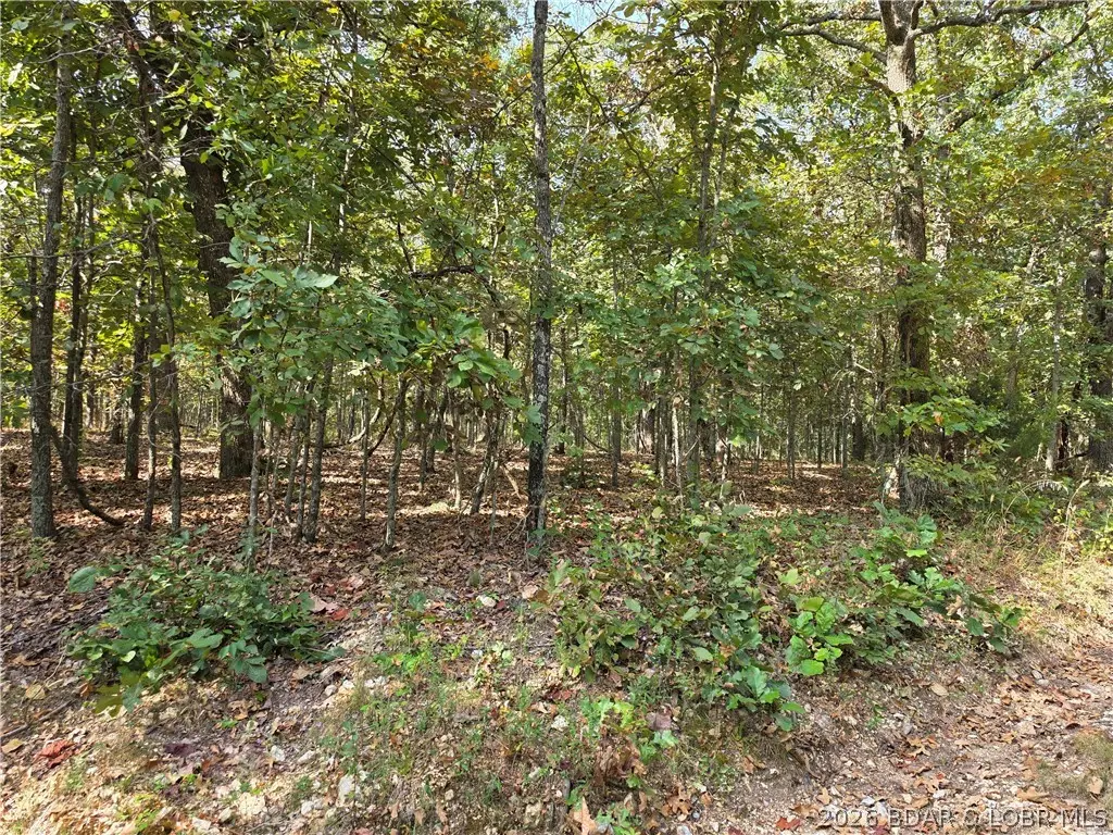 Araskog Drive #3203, 3204, 3205, 3206, Edwards, MO 65326 - #1