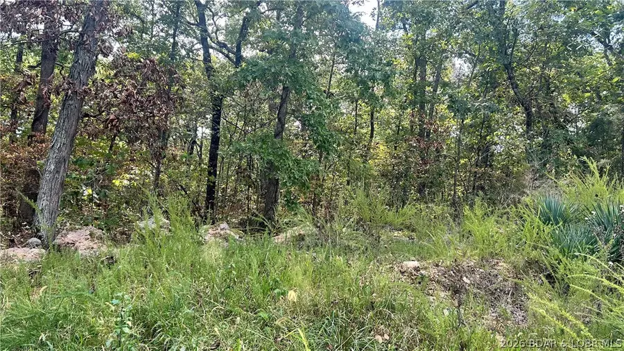 Ozark Trail Road, Lincoln, MO 65338 - #2