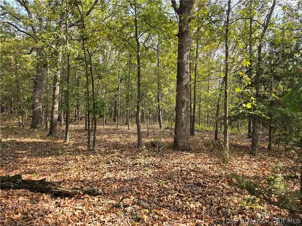 Forbes Road #2556 & 2557, Edwards, MO 65326