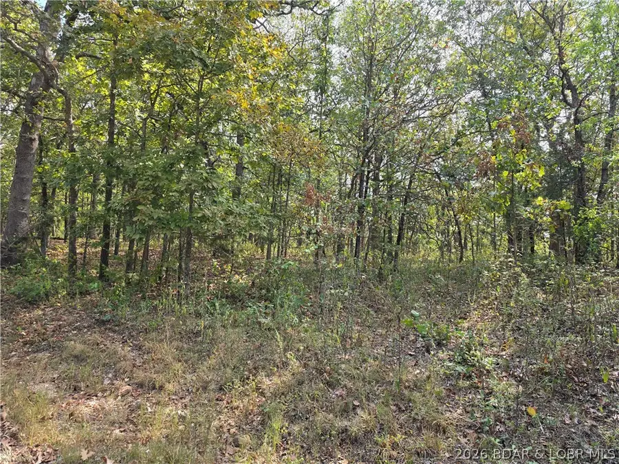 Forbes Road #2556 & 2557, Edwards, MO 65326 - #2