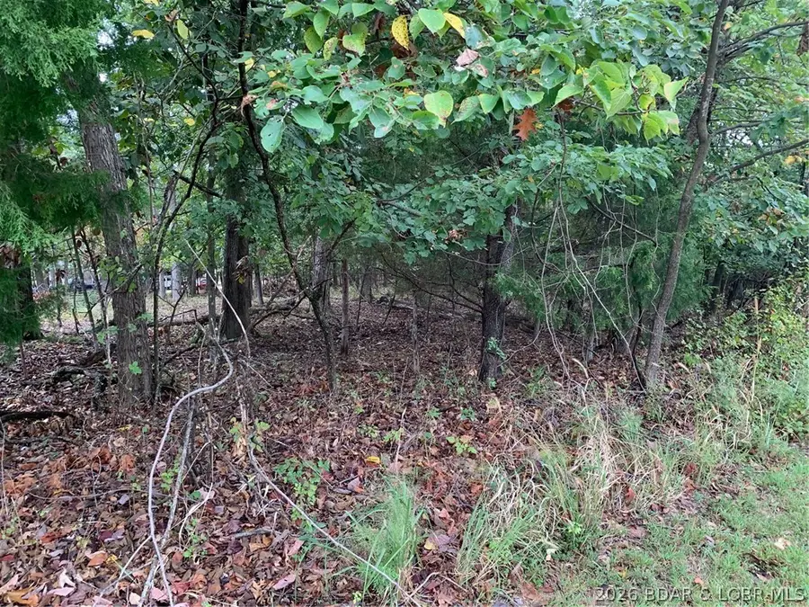 Lot 767 Cherokee Road, Lake Ozark, MO 65049 - #2