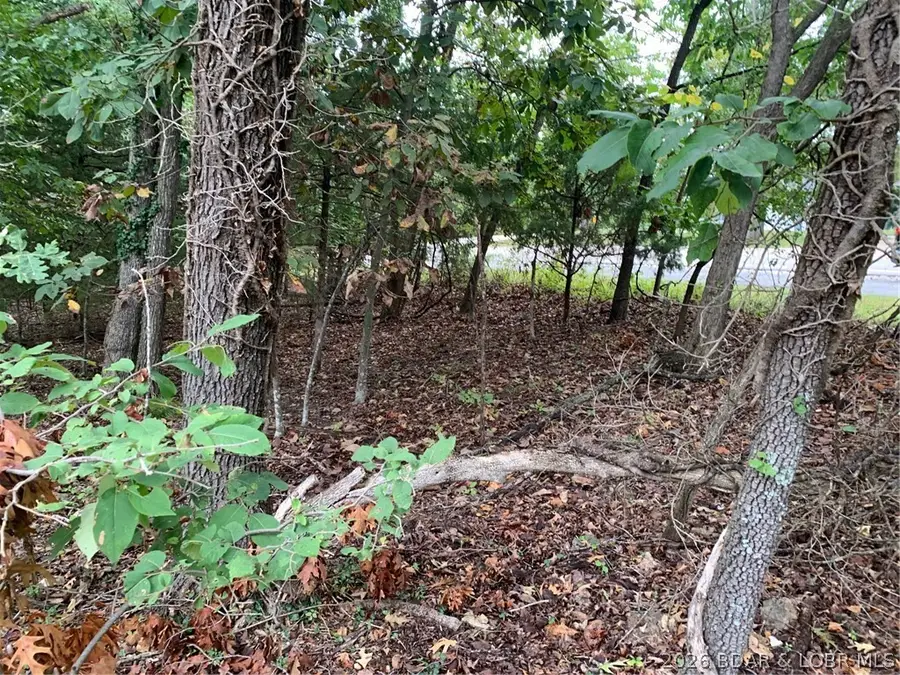 Lot 767 Cherokee Road, Lake Ozark, MO 65049 - #3