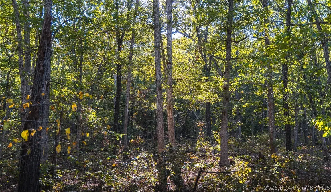 50 acres Partridge Drive, Climax Springs, MO 65324 - #1