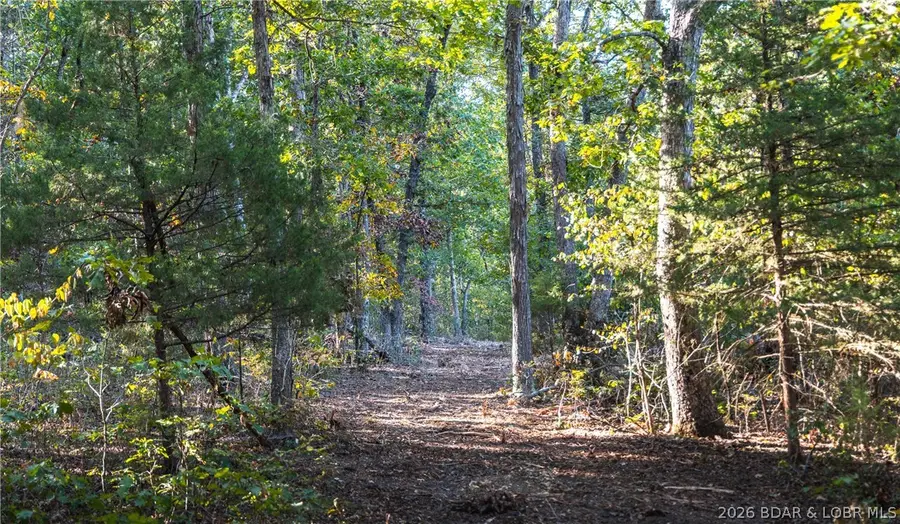 50 acres Partridge Drive, Climax Springs, MO 65324 - #2