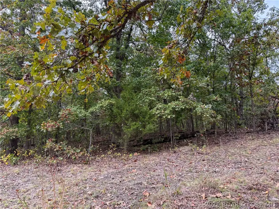 Lot 20 Oak Ridge, Stover, MO 65078 - #3