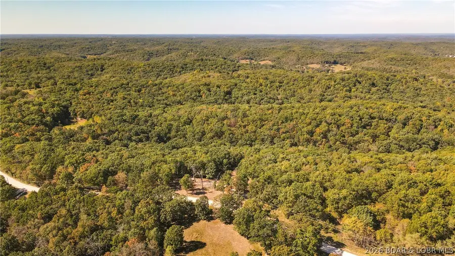 1785 Tranquil Woods Road, Camdenton, MO 65020 - #3