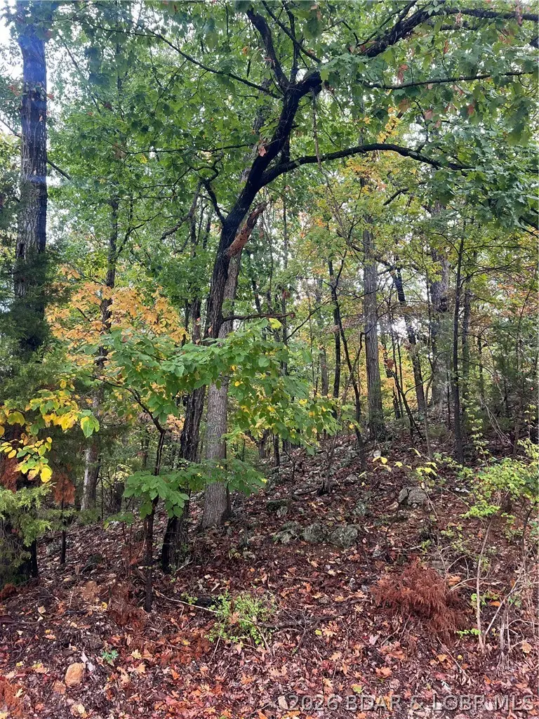 Mace & Holiday Shores Drive, Osage Beach, MO 65065 - #1