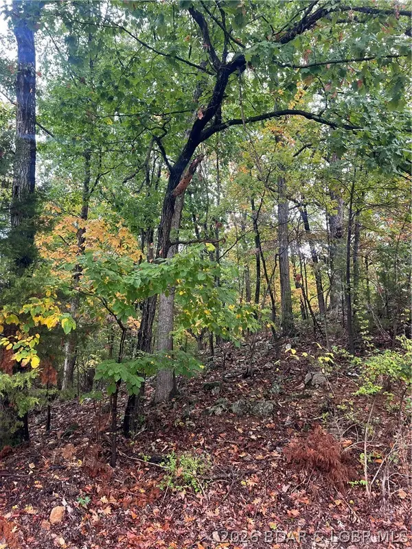 Mace & Holiday Shores Drive, Osage Beach, MO 65065