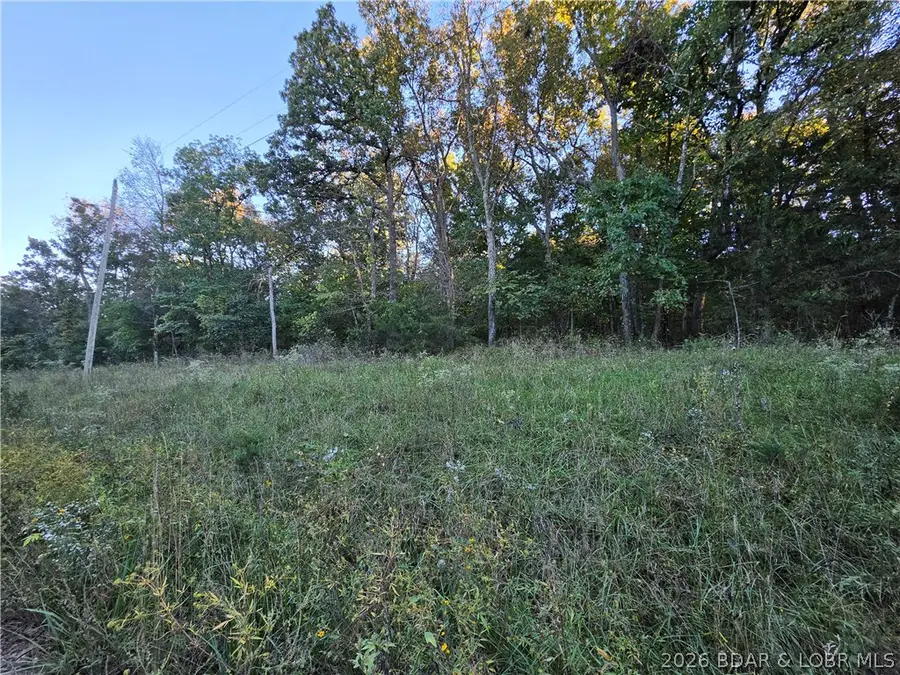 5+/- acres Blue Bird Rd, Versailles, MO 65084 - #3